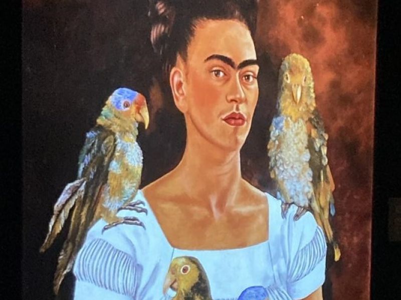 Frida Kahlo immersiv - verlängert bis 08.03. Utopia, München
